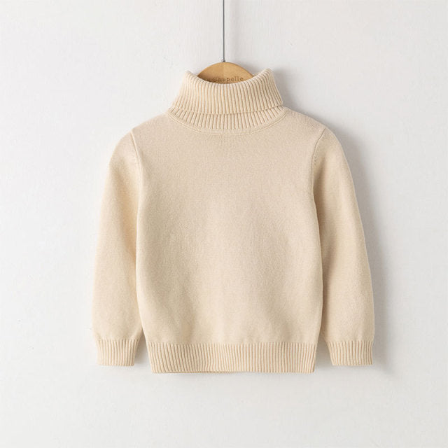 Turtleneck Sweater