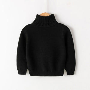 Turtleneck Sweater